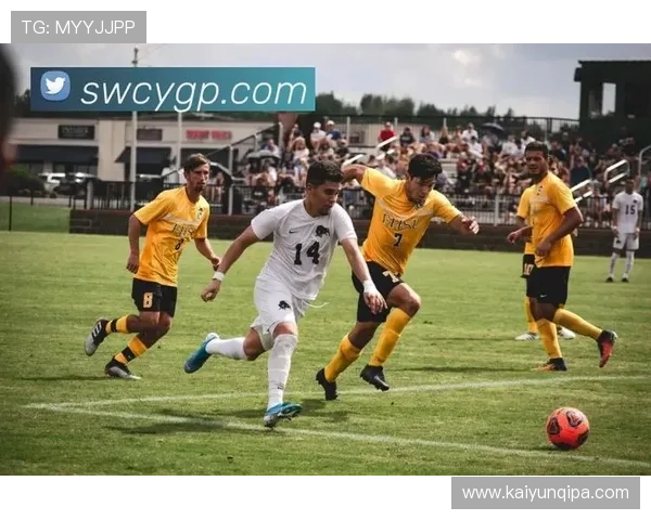 开云a体育app支持的体育赛事类型及直播功能全面介绍